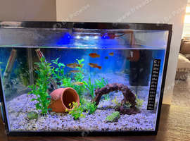 Aquarium