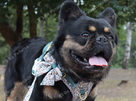 Koba for stud