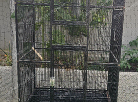Pet Cages, large  and X large from &pound;40.