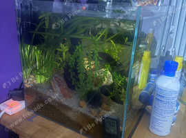 Fish Tank Full Set Up