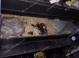 4ft Black reptile vivarium