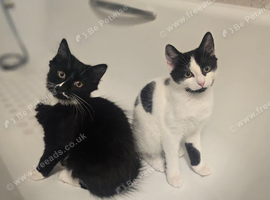 a wonderful boy and girl