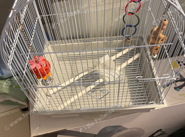 White bird cage