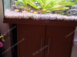 Juwel Aquarium set up (LEEDS)