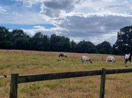 Grazing avavilable