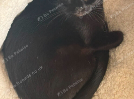 Mia