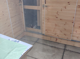 Racing pigeon Loft