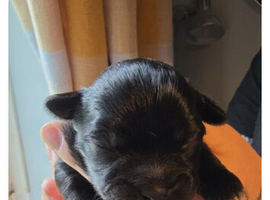 6 stunning babies