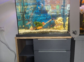Fish tank and stand full set up