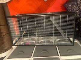hamster cage
