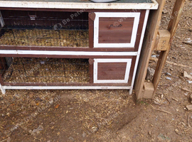 2 tier paw hut hutch