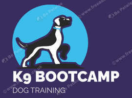 Qualified dog trainer- ruislip