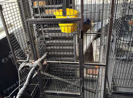 Mixture parrot Cages