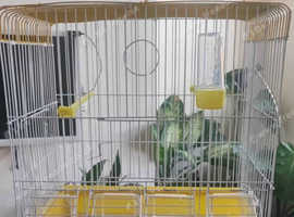 very durable Bird cage