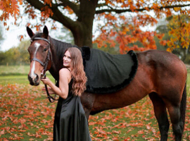 TB mare for sale, 16.2 hh, 7 years old
