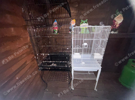 2 big bird cages