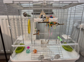 Vision Cage/Home for Birds Regular, 60.9 x 38.1 x 52 cm, Medium