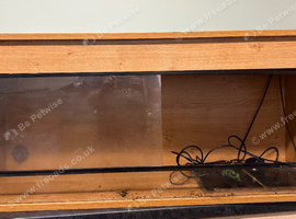 4ft Viv need gone asap