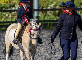 Lead rein pony