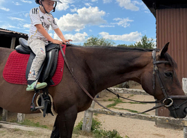 Super safe confidence giver/ fun horse