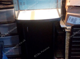 Bow fronted aquarium