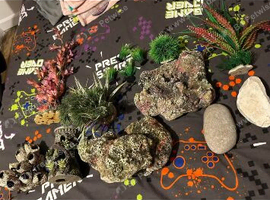 fish tank ornaments