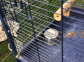 Nice parrot cage for sale