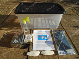 GIANT AFRICAN LAND SNAIL ADULT KIT