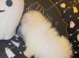 Perfect Pomeranians