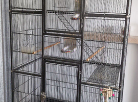 Large Bird cage