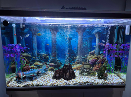 300l aquarium tank setup