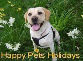 Happy Pets Holidays