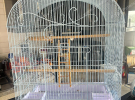 Budgie cage