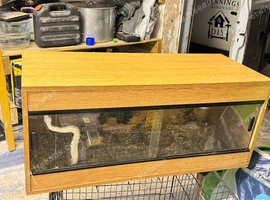 Boa with Viv for sale