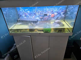 White fish tank