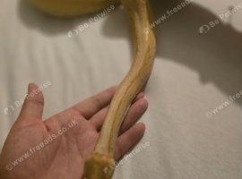 Banana lemon blast