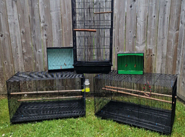 Bird cages forsale limavady