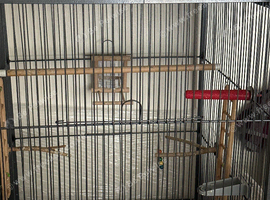 Big hut top cage black with accessories good condition