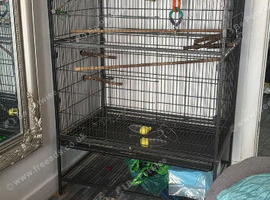 Here I have a x large bird cage
