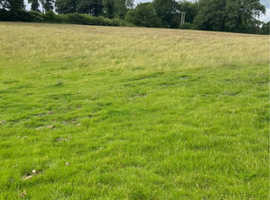Holiday/injury rehab/retired grass livery available