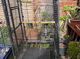 Nice parrot cage for sale
