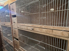 Cages