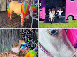 Blue eyes Cremello Micro Mini Miniature Shetland UNICORN  party biz