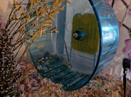 Very large hamster/rat wheel