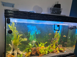 Fish tank