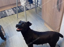 Patterdale