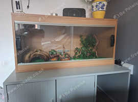 Vivarium for sale