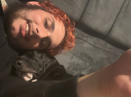 Loving dog