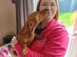Pet sitter and dog walker