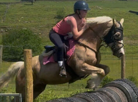 *** BOOKED FOR BRECON SALE***